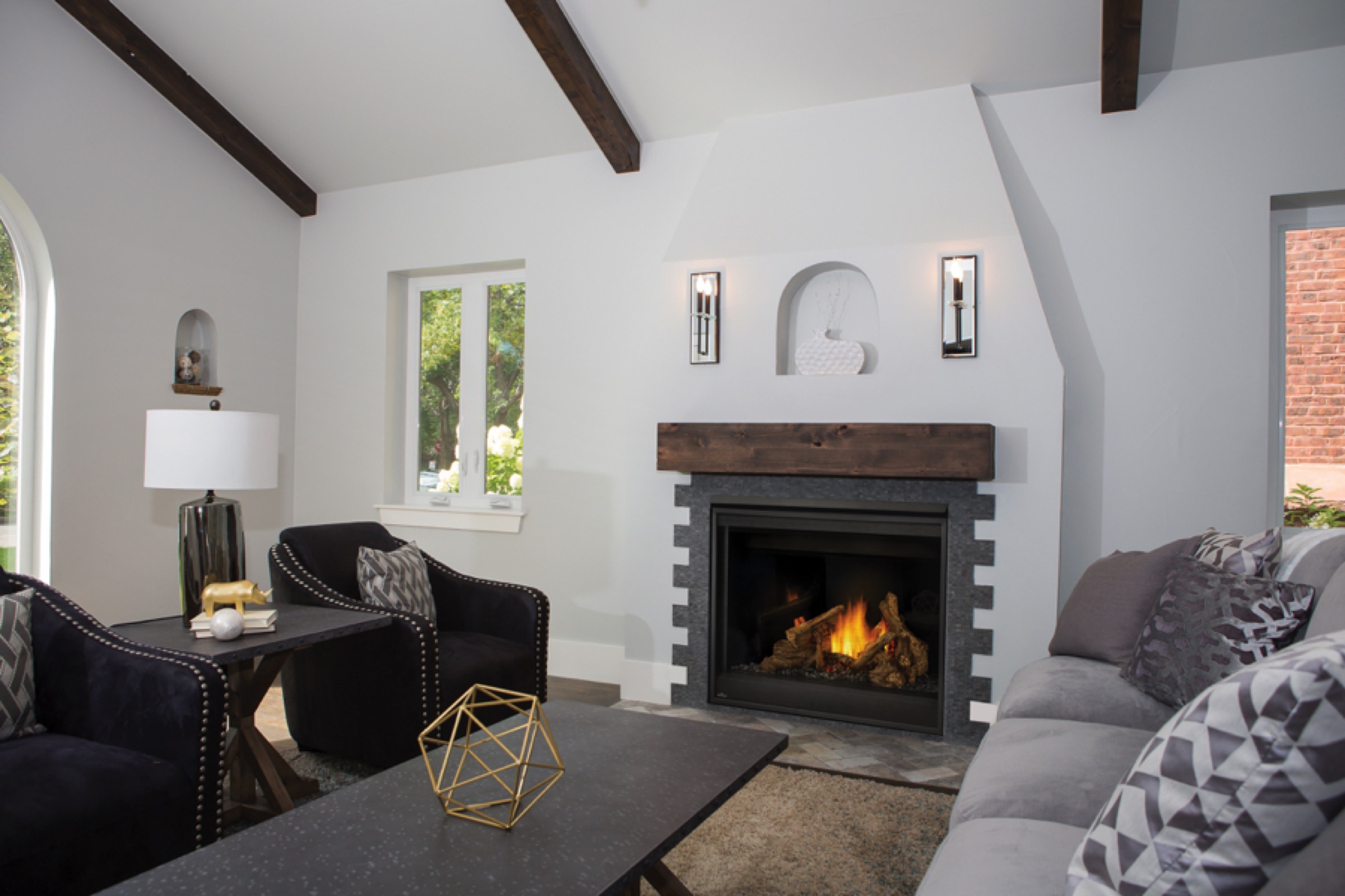 gas fireplace napoleon